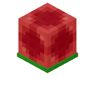 RS Cube